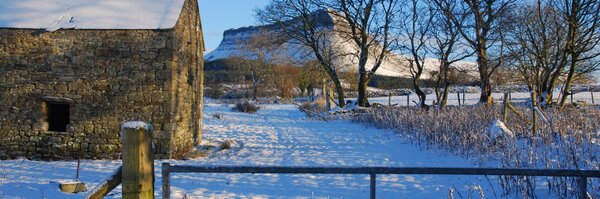 LiamFFarrell Profile Banner