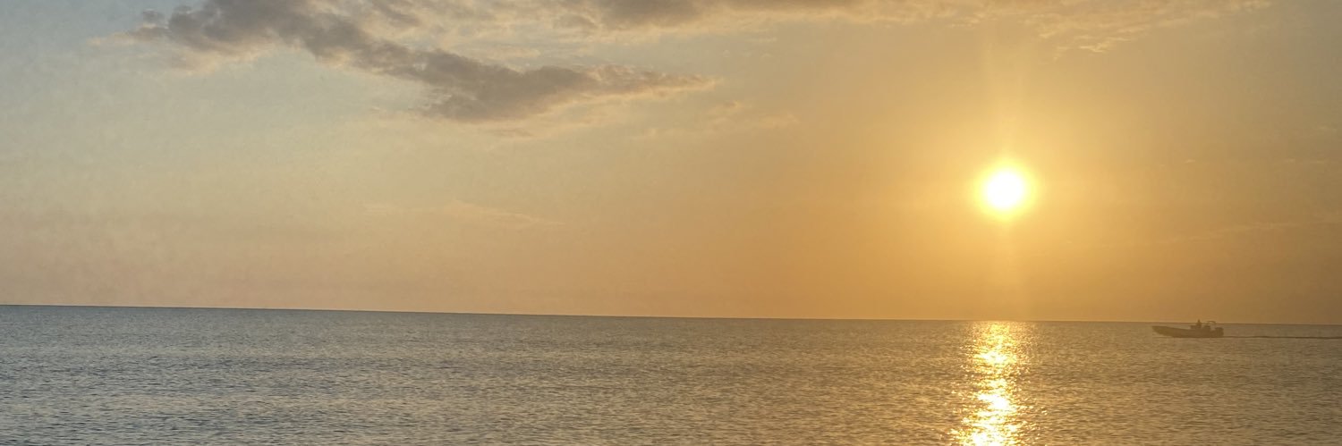 MamaDLynch's profile banner image