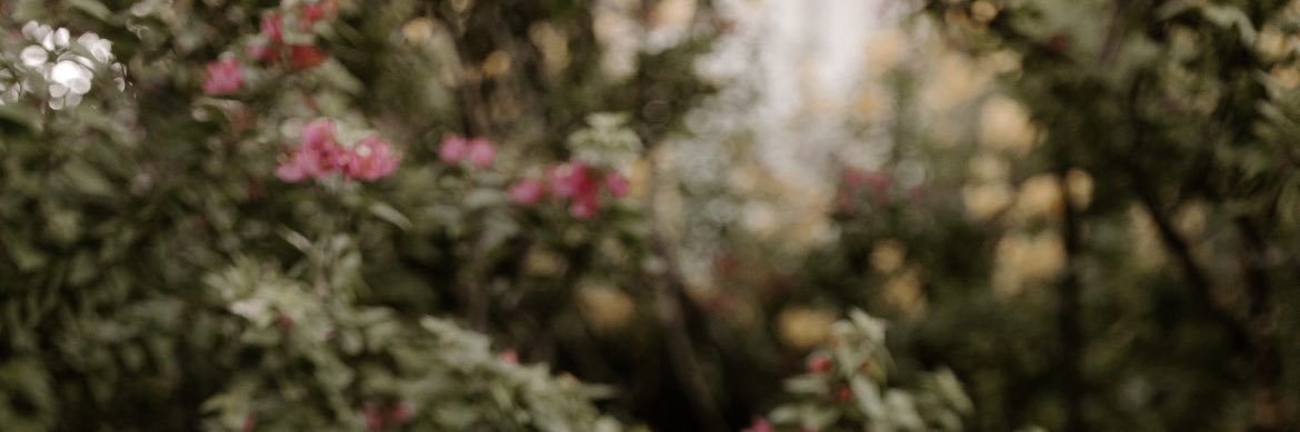 legoodroe's profile banner image