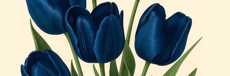 BeatrizPadial's profile banner image