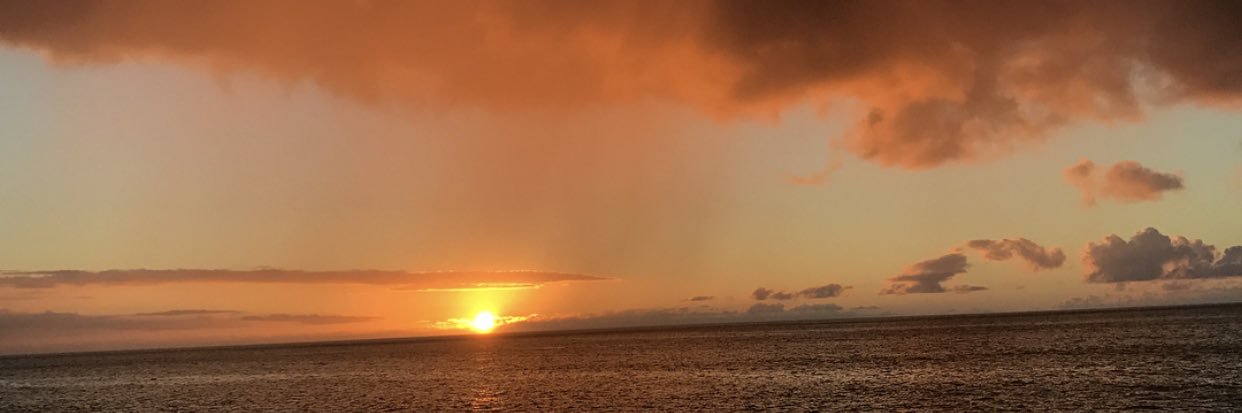 amberjeaaan's profile banner image