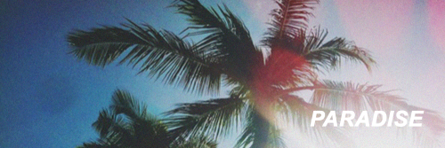 shawncutess's profile banner image