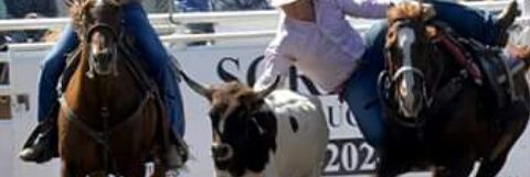 ReaganWesley's profile banner image