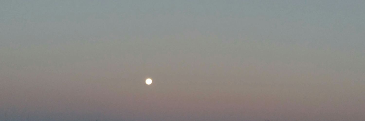 AleAgoglia's profile banner image