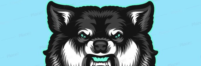 BWolfGirl9's profile banner image