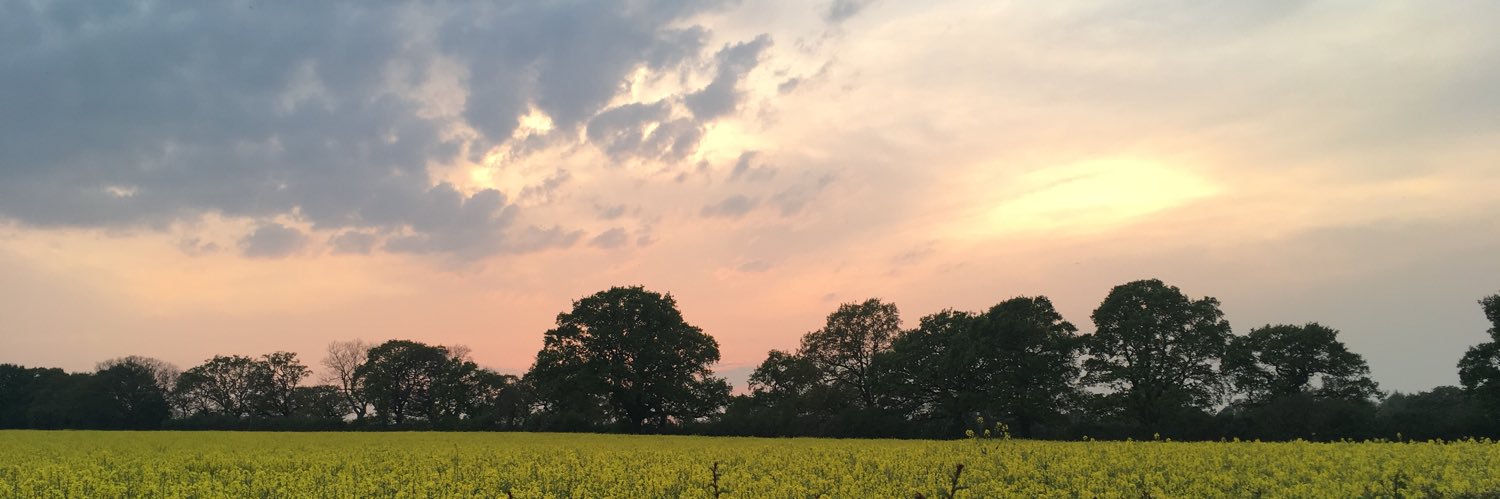 terob88's profile banner image