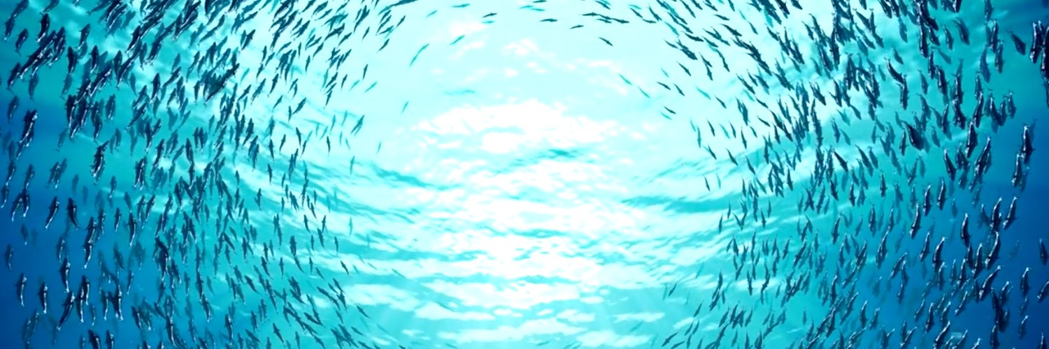 GrainCreative's profile banner image