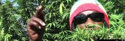 ronamaestro's profile banner image