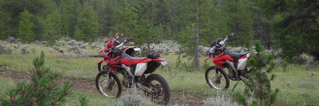 trailryder's profile banner image