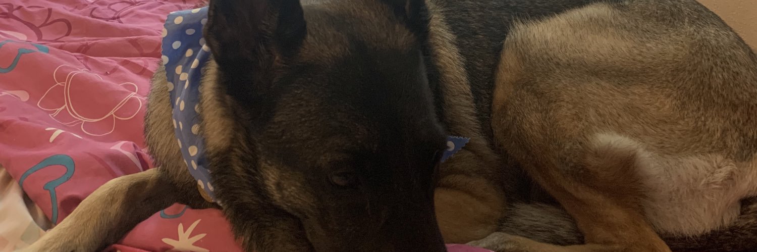ryanjamesdiasio banner