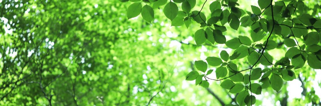 suz1205's profile banner image