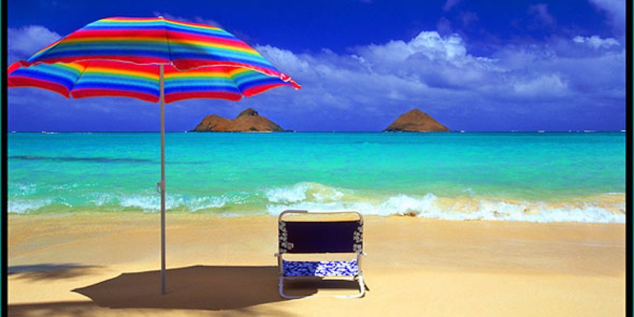 Elaine Williams banner