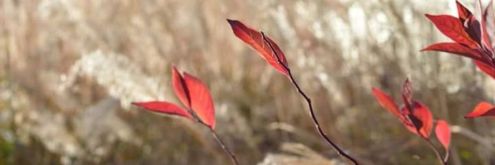 MavenM9277's profile banner image