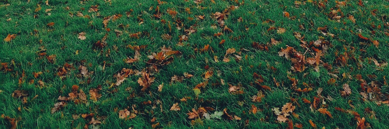 BethMForster's profile banner image