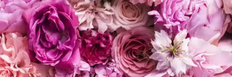 MissxChi's profile banner image