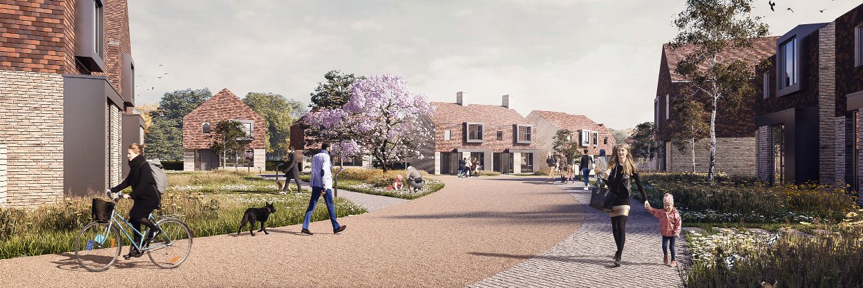 Mohsin Cooper banner