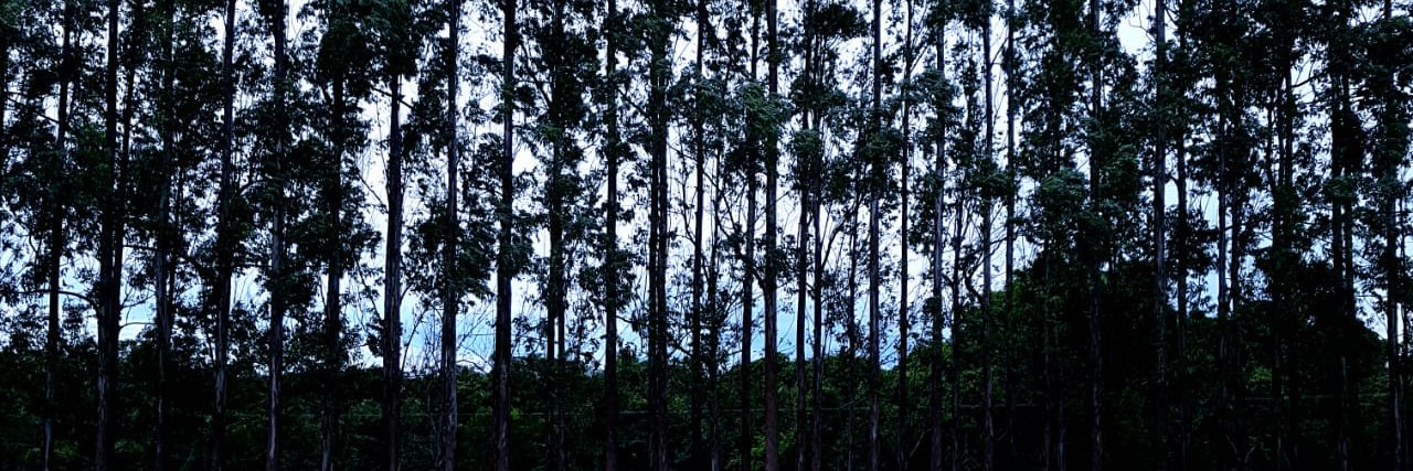remikaliel's profile banner image