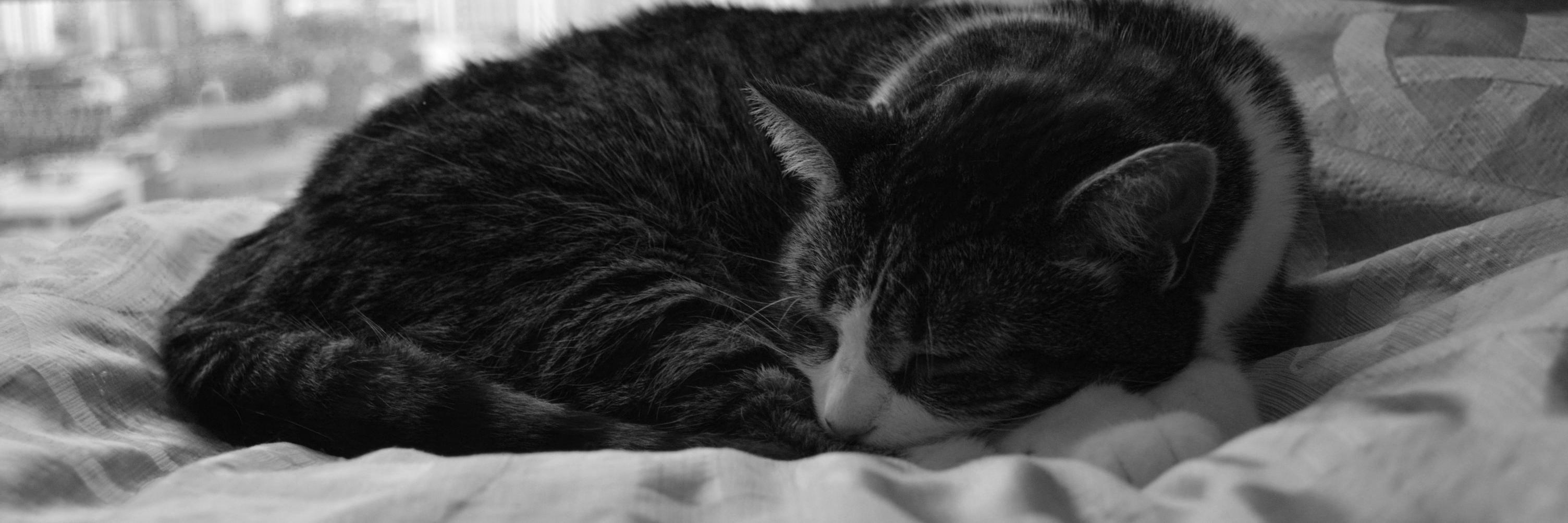 ItsTiaVu's profile banner image