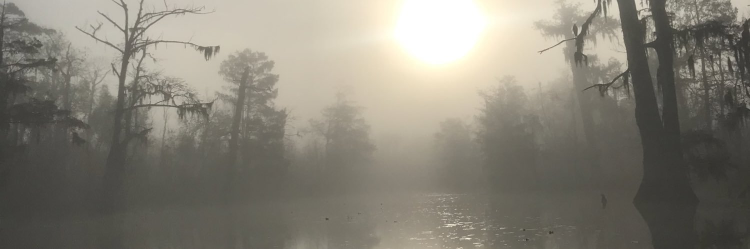 fattydude2's profile banner image