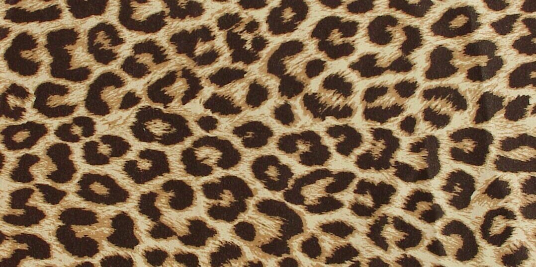 jaytyler_21's profile banner image