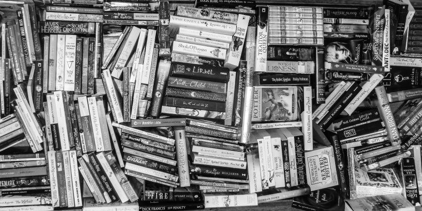 EsBookworm's profile banner image