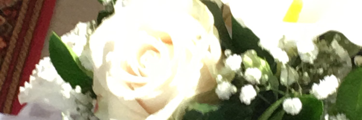 elirom01's profile banner image