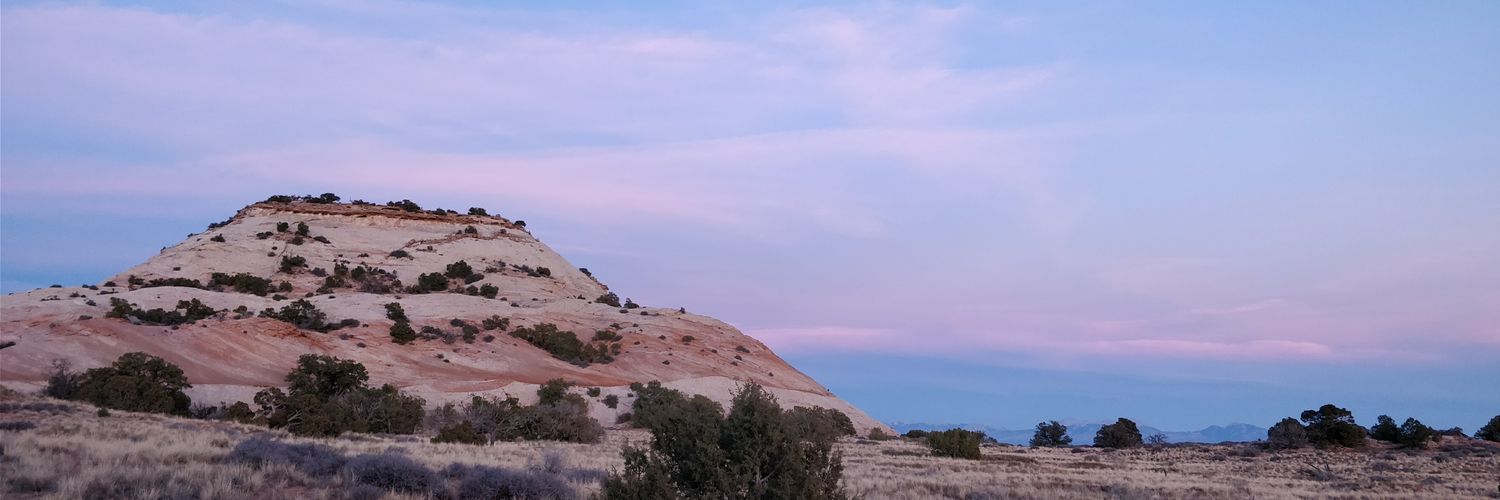 daniel_jin's profile banner image