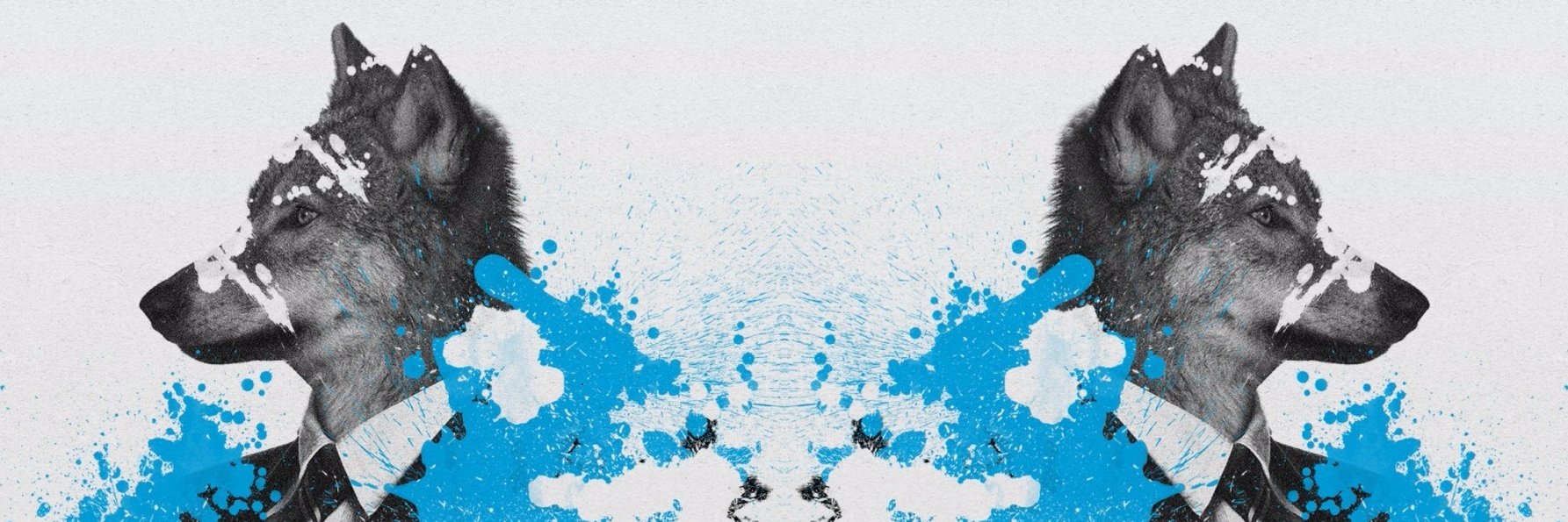 Danwolf banner
