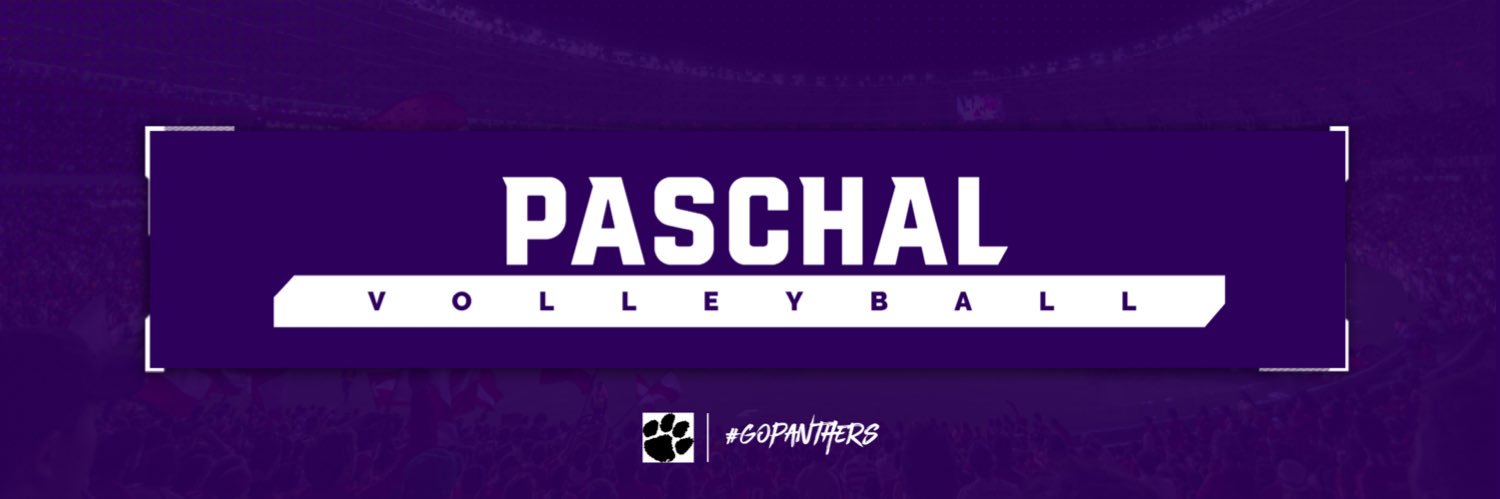 PHS Volleyball banner