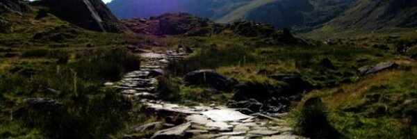 MorrisACollins Profile Banner