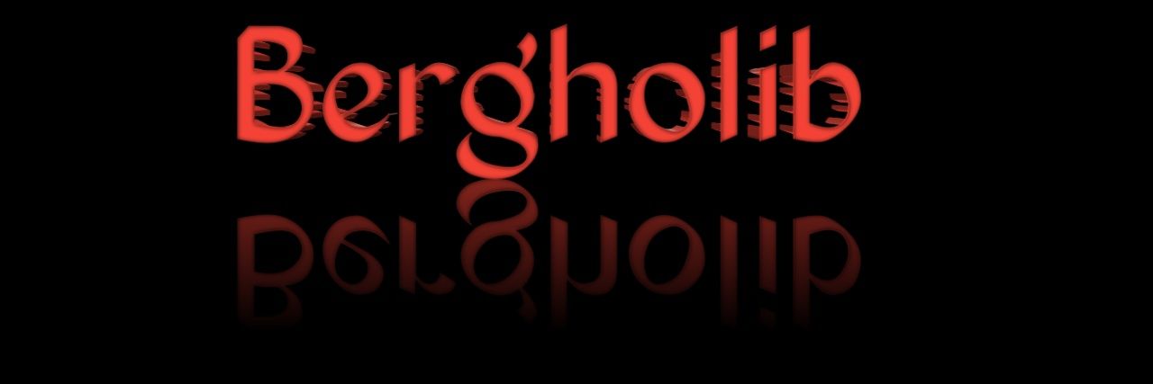 ndholiB's profile banner image