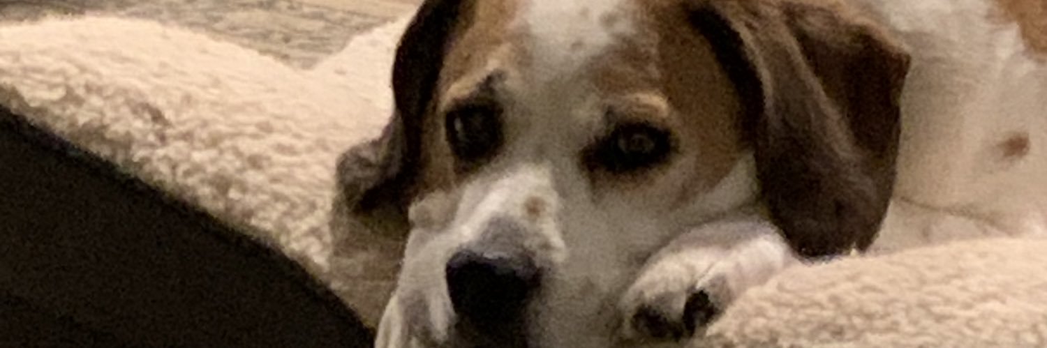 dehlerding's profile banner image