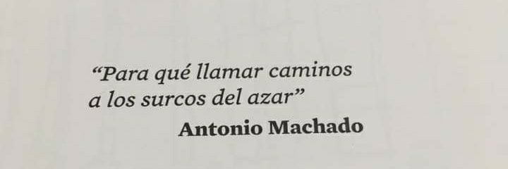 Furia Luminosa 🤦🏻‍♀️ banner