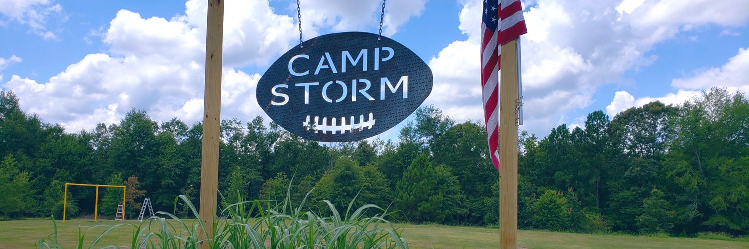 W. Storm Johnson banner