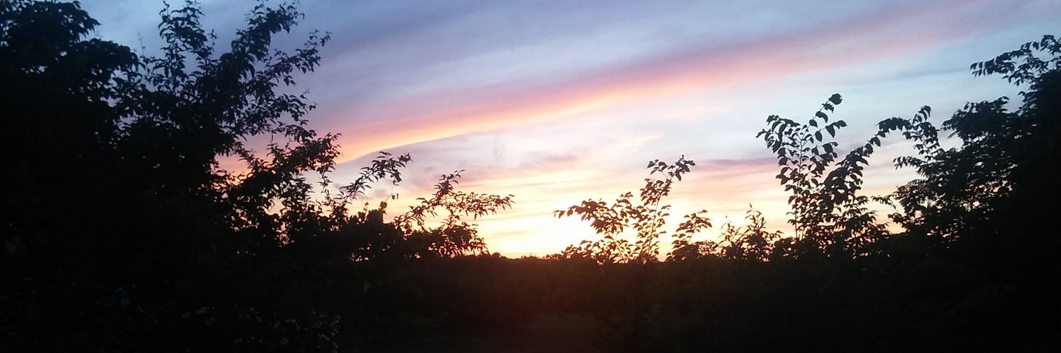 CyanMoonlight99's profile banner image