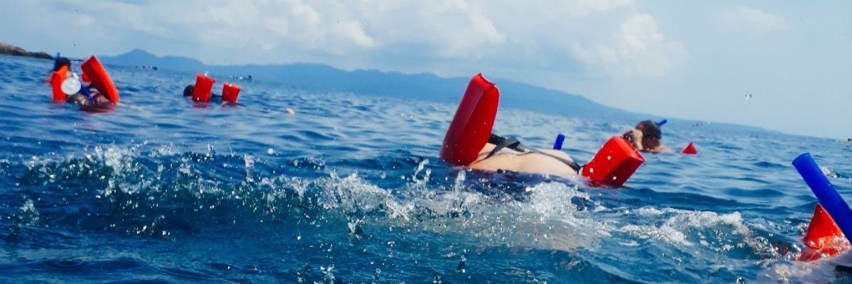 TerroristaPTY's profile banner image