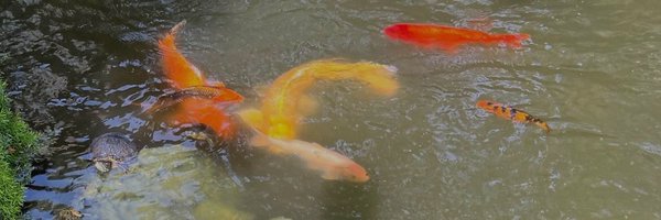 s8mtatts Profile Banner