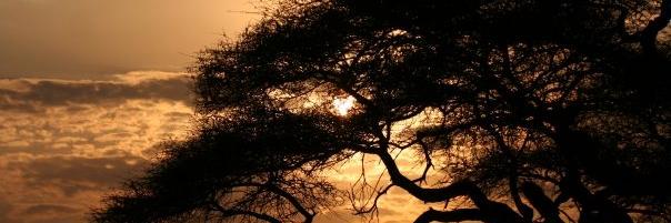 DeleRT83's profile banner image
