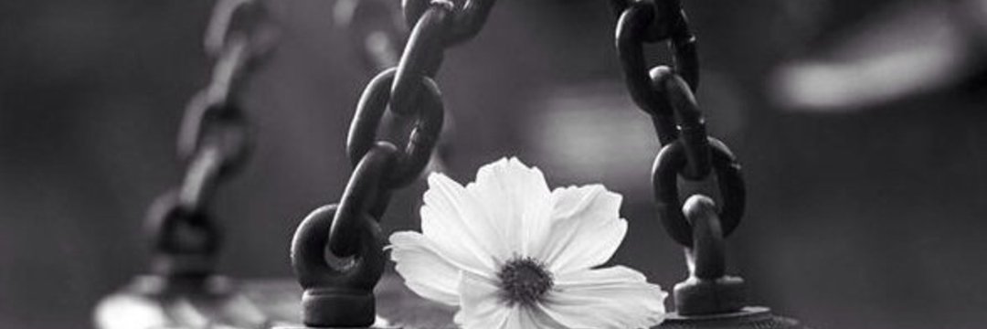 sh8awi555's profile banner image