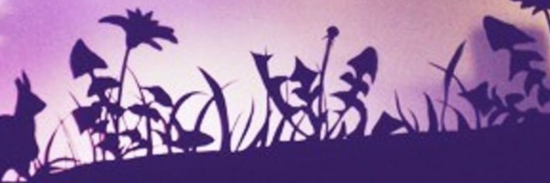 piro163's profile banner image