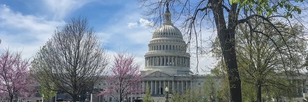 AllisonDembeck Profile Banner