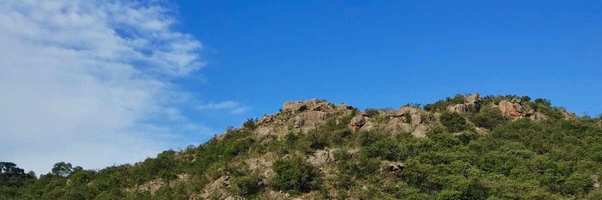 MaggioValen's profile banner image