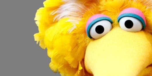 BigBirdOnline's profile banner image