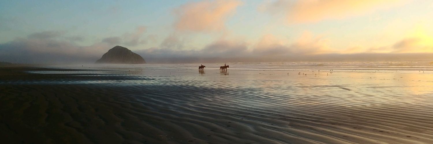 ChrisRGoldstein's profile banner image