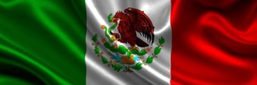 David Cuéllar Alfaro ® ⸫ 🌐 banner