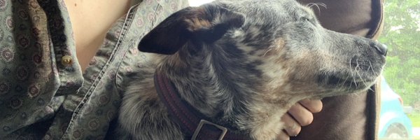 sweaters4ever Profile Banner
