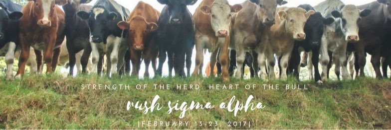 SigmaAlphaatUD's profile banner image