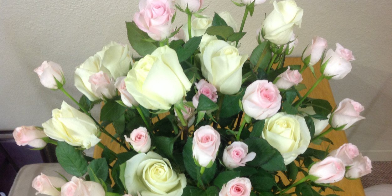 blossoms_b's profile banner image