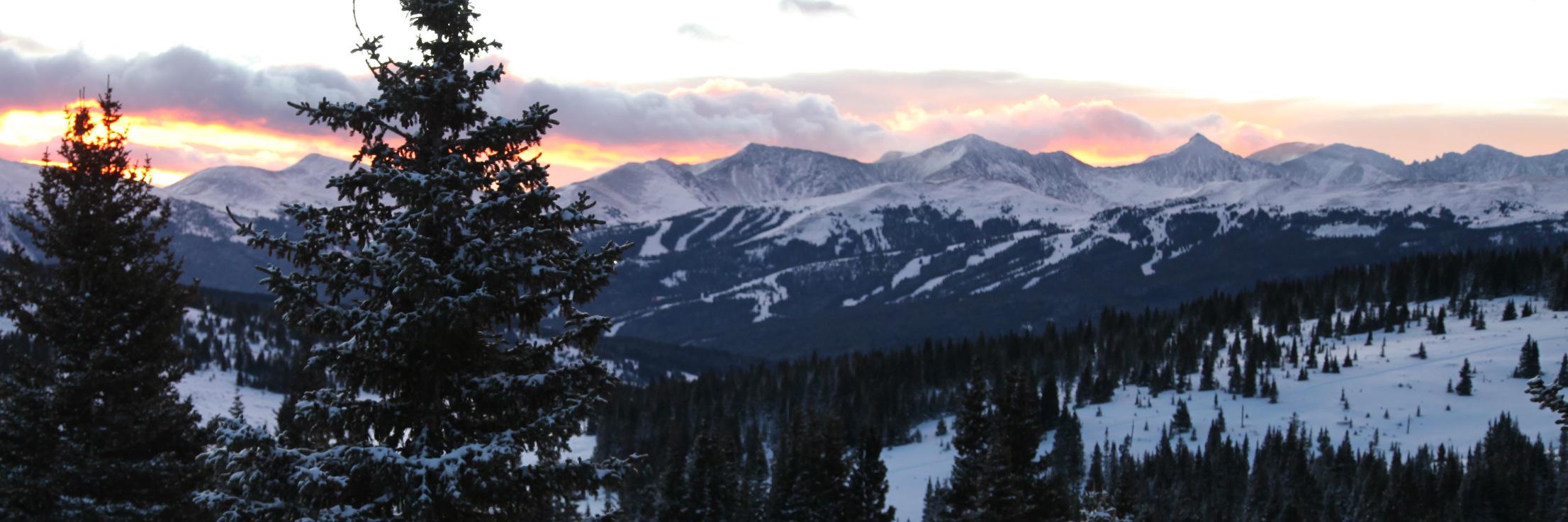 Jeremy Bender banner