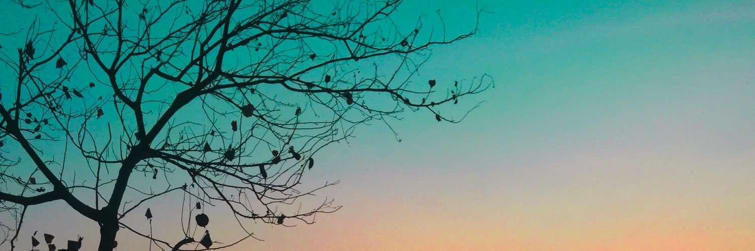 AlkiWyt's profile banner image